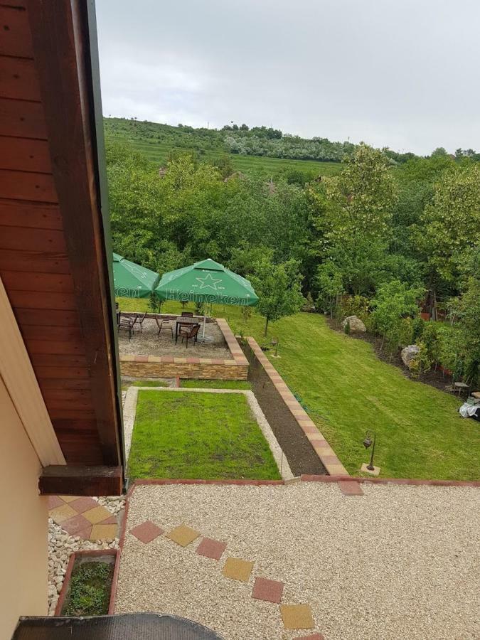 Pensiunea Brazi Turda Exterior foto