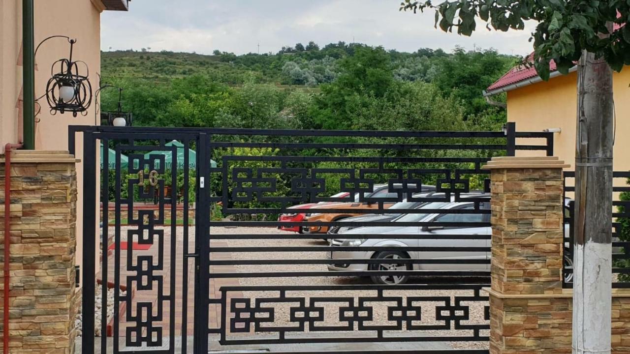 Pensiunea Brazi Turda Exterior foto