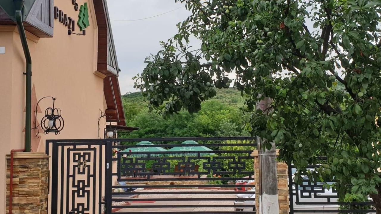 Pensiunea Brazi Turda Exterior foto